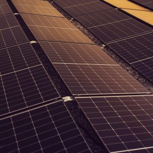 Bamboo Fiber Insulation Board | Eco-Friendly Building Insulation | Renewable Material